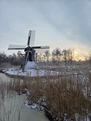 Groene ster Leeuwarden