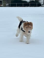 Op volle vaart door de winter