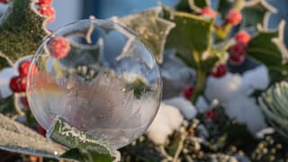 Bevroren zeepbel met hulst