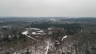 Grijze lucht boven het Bergerbos (NH)