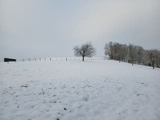 Sneeuw