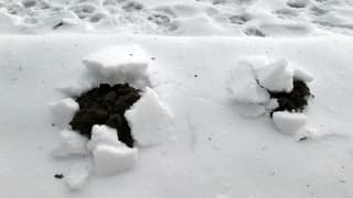 Duidelijke aanwijzing weersverandering