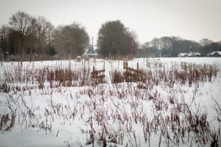 Winter in Diever 