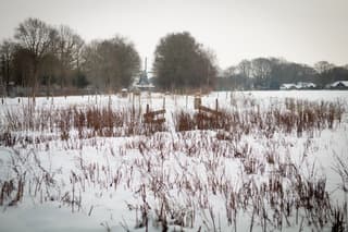 Winter in Diever 