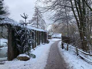 Sneeuw winter wonder land in GaiaZOO in Gemeente Kerkrade prachtig