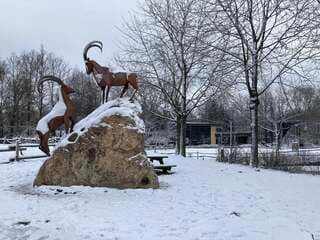 Sneeuw winter wonder land in GaiaZOO in Gemeente Kerkrade prachtig