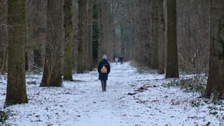 Beschut tegen de wind, helaas geen zon.