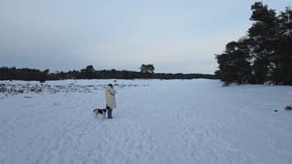 Sneeuw op het Drouwenerzand