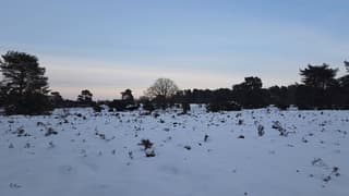 Sneeuw op het Drouwenerzand 