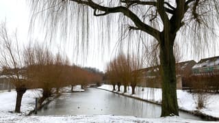 Nog even genieten, van een winters plaatje.