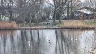 Zij konden wél het ijs op