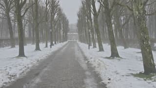 Sneeuw
