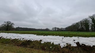 De laatste sneeuw(resten) voorlopig dit jaar