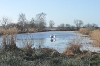 Uit de wind en in de zon