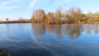 half bevroren visvijver, met mooie bomen