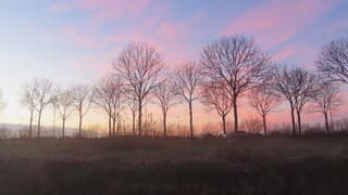 lucht na zonsondergang met mist en kleur