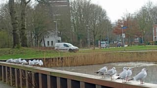 Wachten op betere tijden.