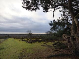 Prima weer om buiten te zijn. 