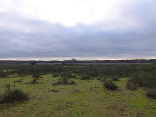 Prima weer om buiten te zijn. 