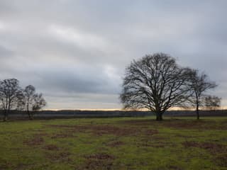 Prima weer om buiten te zijn. 