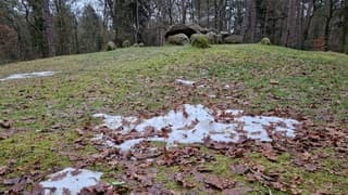 Het laatste beetje sneeuw bij hunebed D45 in Emmen