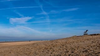 AAN ZEE ZATERDAG MET ZON