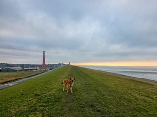 rustige zee..weinig wind ,zelfs aan zee....al wat later in de middag...