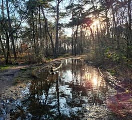 Middagwandeling met zakkende zon