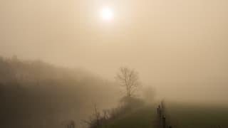 zal de zon de mist verdrijven