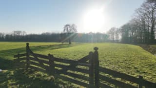 Winterzon in Langbroek 