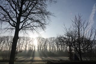 Mooie lichtval door bomen
