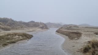 Mistig in de Slufter op Texel 