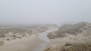 Blue monday op Texel!