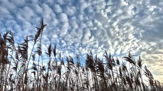 Bijna windstil vanmorgen