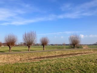 Hollands plaatje 