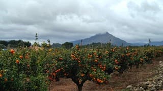 Vandaag zwaar bewolkt met veel regen