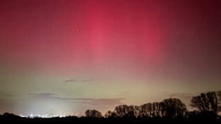 Noorderlicht polder Angeren 