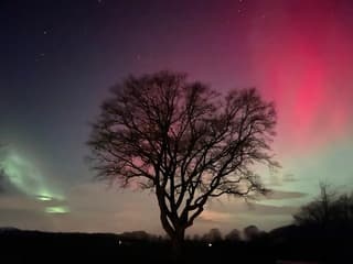 Noorderlicht Varssel
