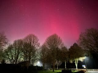 Noorderlicht Swolgen