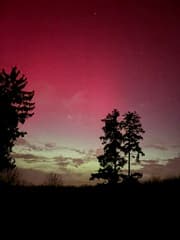 Noorderlicht boven t bos