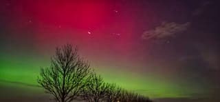 Noorderlicht Molenpolder