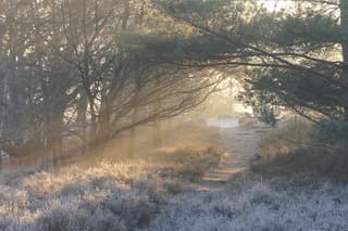 Mooi begin van de dag.