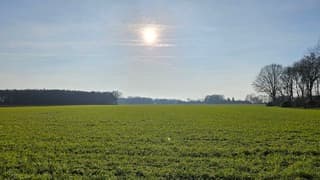 Zonnige Januaridag