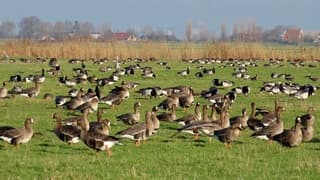 Waar is het feestje... hier is het feestje!