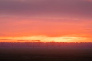 Vuurrood in Polder vanmorgen