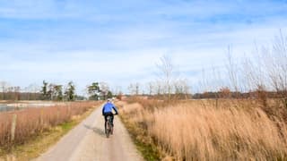 Vandaag sluierbewolking