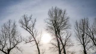 Vandaag sluierbewolking