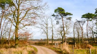 Vandaag zonnig en met sluierbewolking