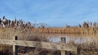 Een zonnige middag in Doetinchem 