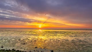 prachtige zonsopkomst